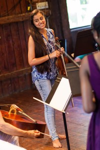 Apple Hill Summer Chamber Music Workshop