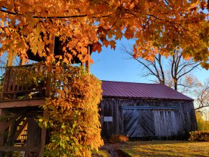 fall 2022 gazebo maple and concert barn - web